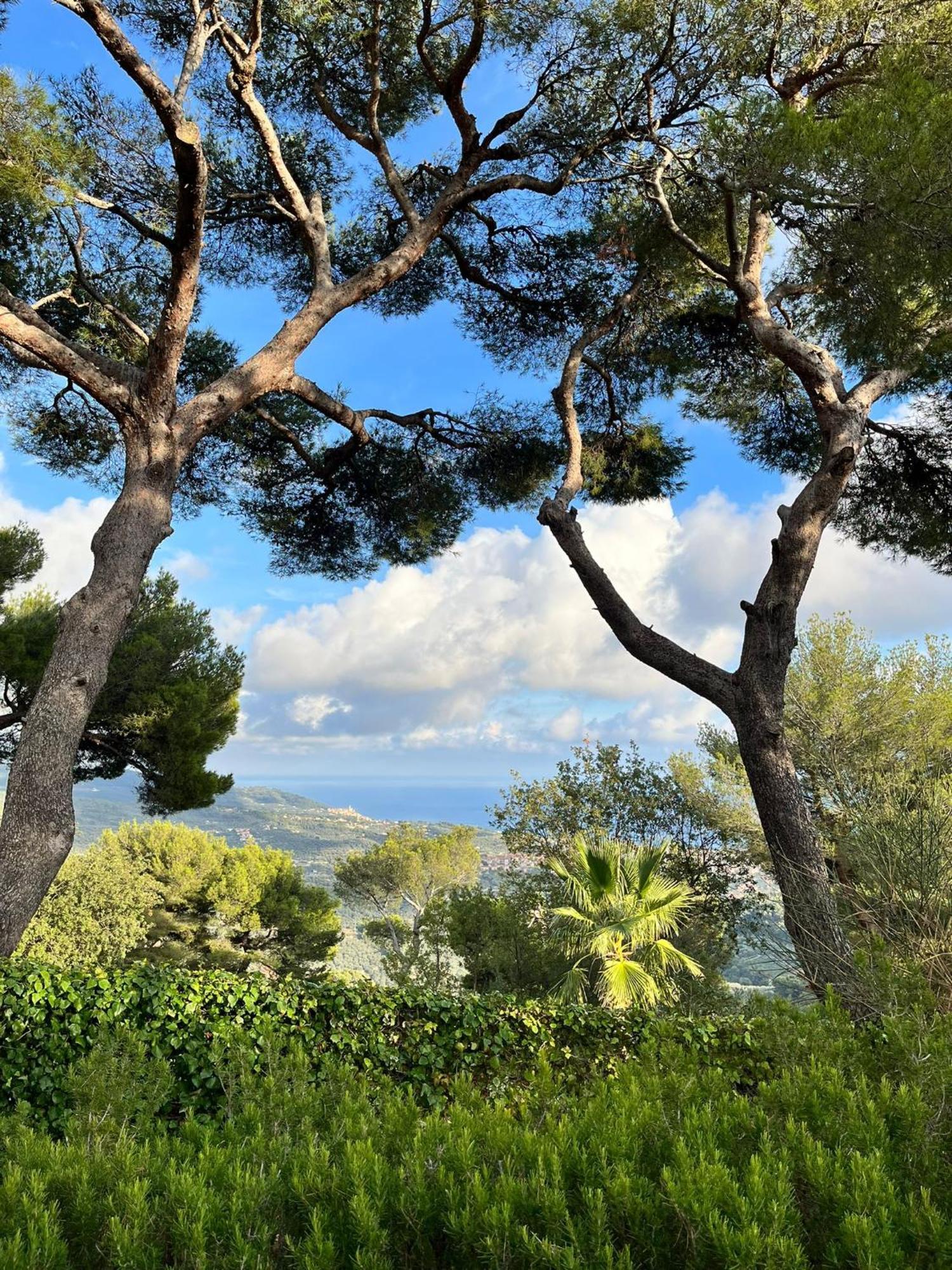 Casa Merea 16 Costa d'Oneglia Bagian luar foto